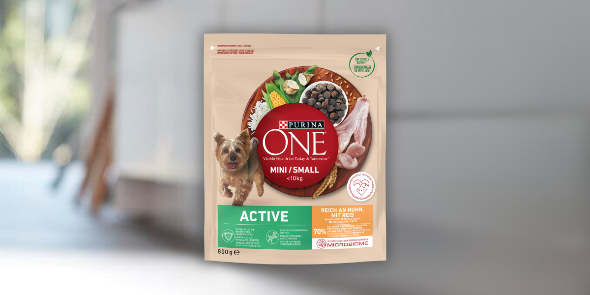 PURINA ONE MINI/SMALL Active